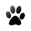 Captcha image 4810